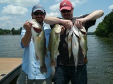 image BASS 029.JPG